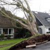 Tree falls on home in Storm Ciara