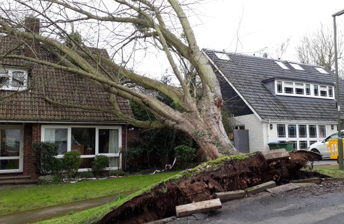 Tree falls on home in Storm Ciara