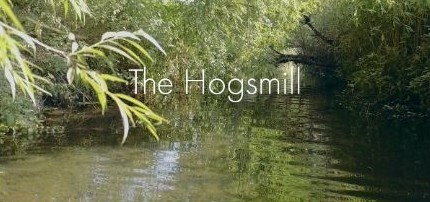 Vote for Hogsmill River film