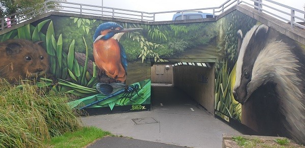 Wildlife mural transforms Tolworth roundabout
