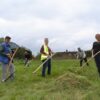 Grass in nature reserve is cut using scythes to manage meadow