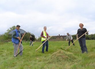 Free scything sessions to improve biodiversity at nature reserve