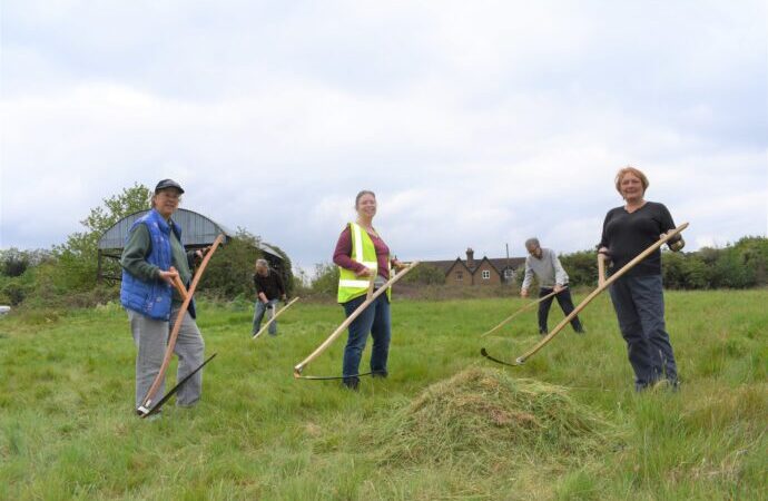 Free scything sessions to improve biodiversity at nature reserve