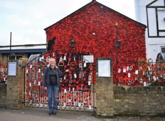 Striking display of poppies at Royal British Legion in Surbiton