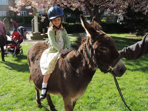 Donkey rides for Palm Sunday