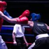 Surbiton Boxing Club showcases its talent at Tolworth event